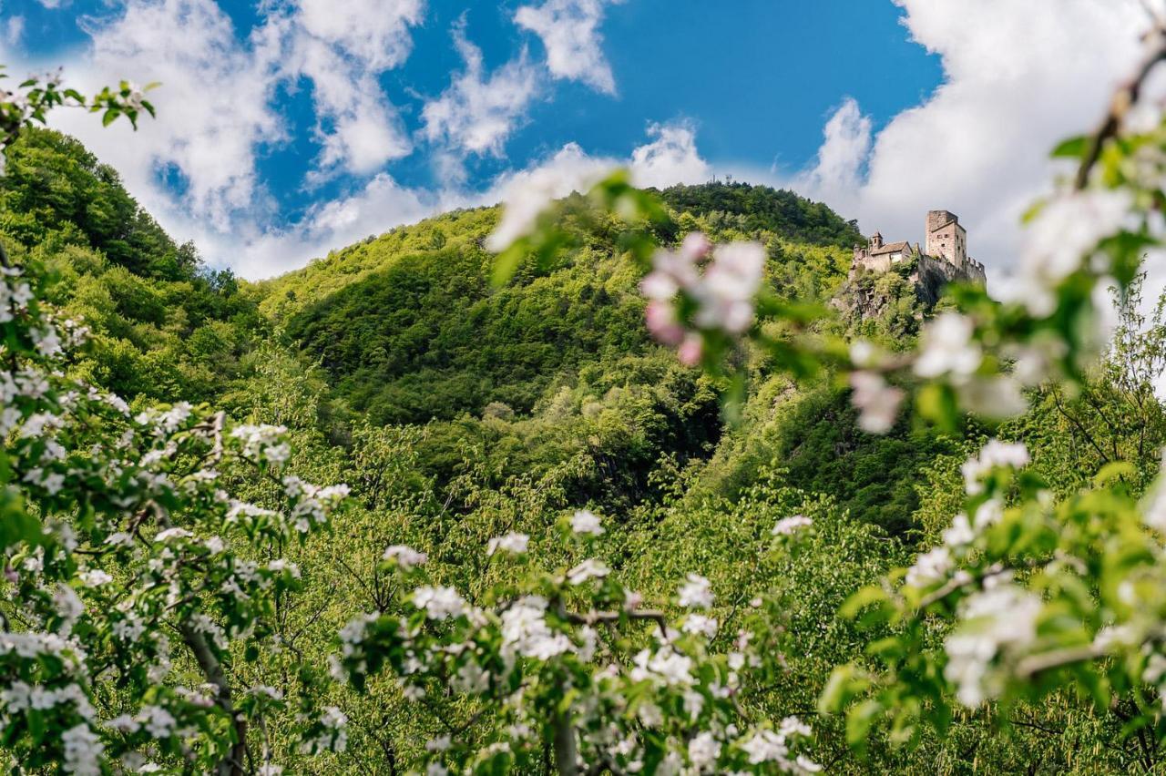 Апартаменты Strahlerhof Аппиано-Сулла-Страда-дель-Вино Экстерьер фото